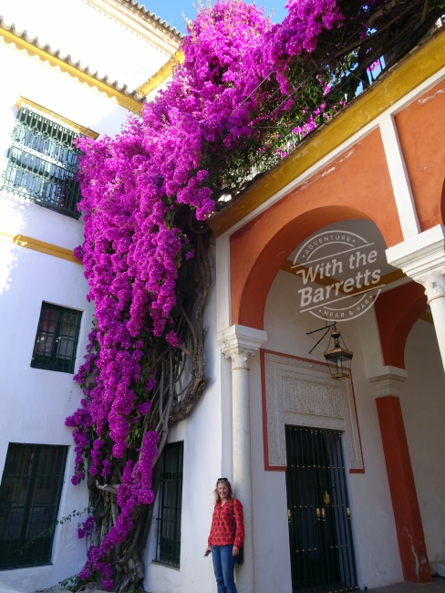 Debra with flowers